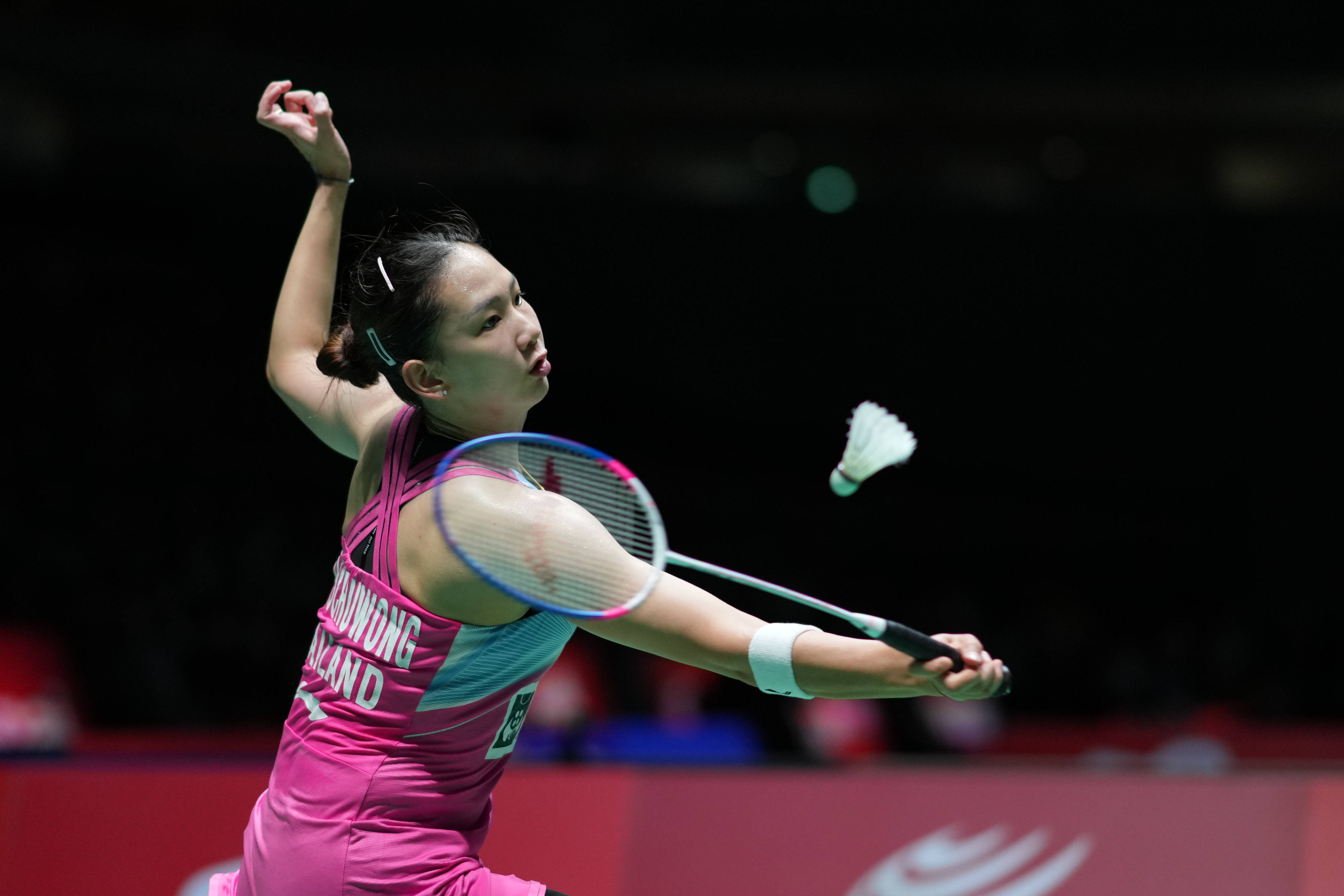 的不可或缺 的不可或缺