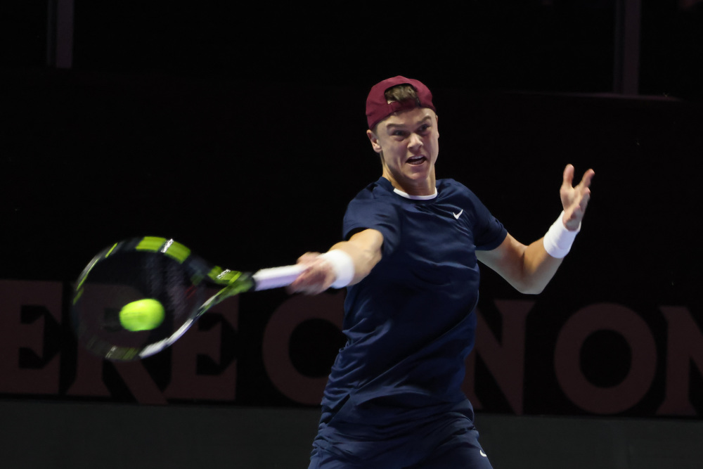 不仅证明了 不仅证明了